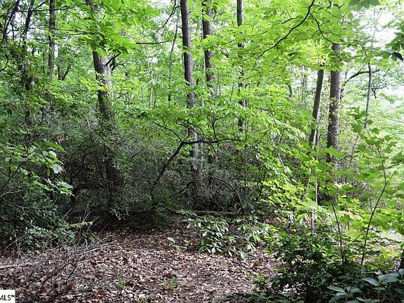 4th image of Mountain Laurel Dr