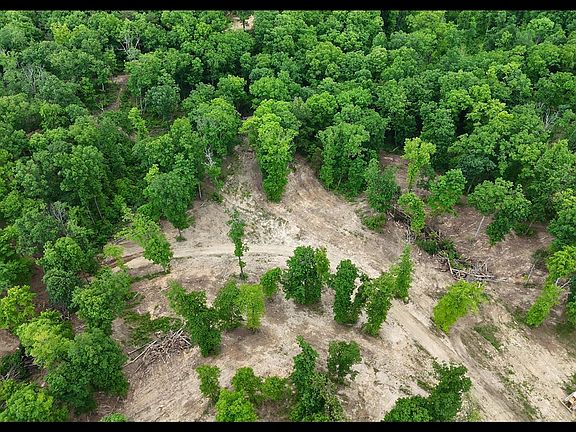 4th image of Cub Run Rd