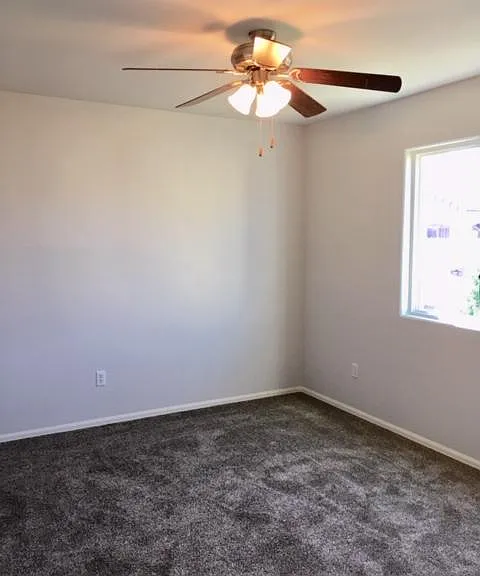 2024 Reed Grass Way — Photo 21