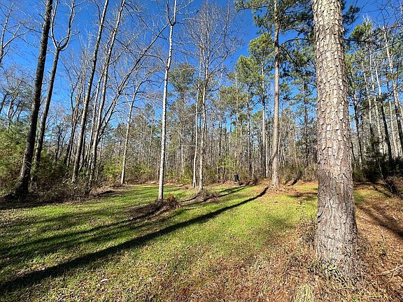 Photo Jan 13 2026 11 54 00 Am