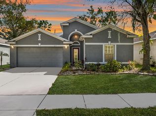 825 Parsons Pointe St, Seffner, FL 33584