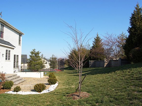 BACKYARD VIEW