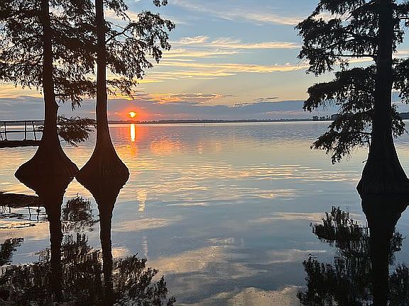 Fish or just relax ??