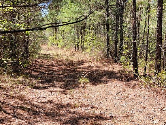 2nd image of 0 Jewell Gooch Rd