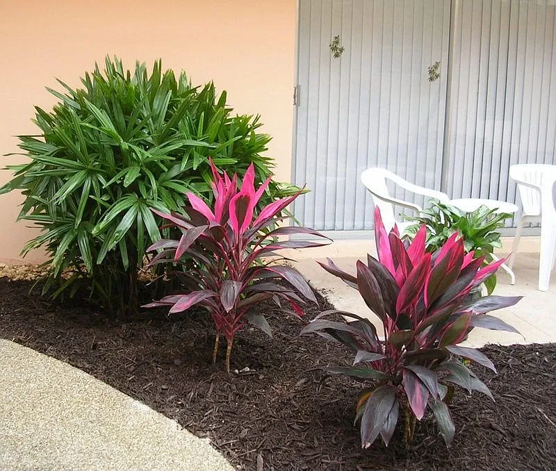 Atrium Detail