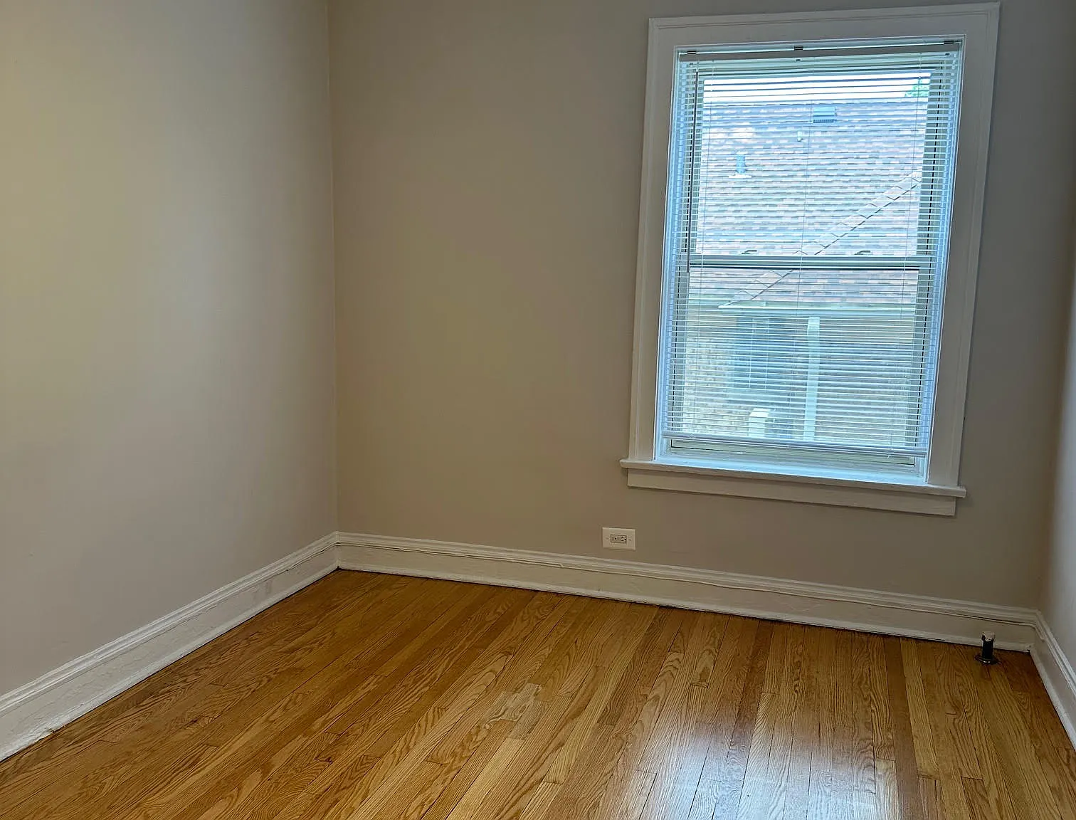 1 bed, 800 sqft, $1,575 — Photo 4