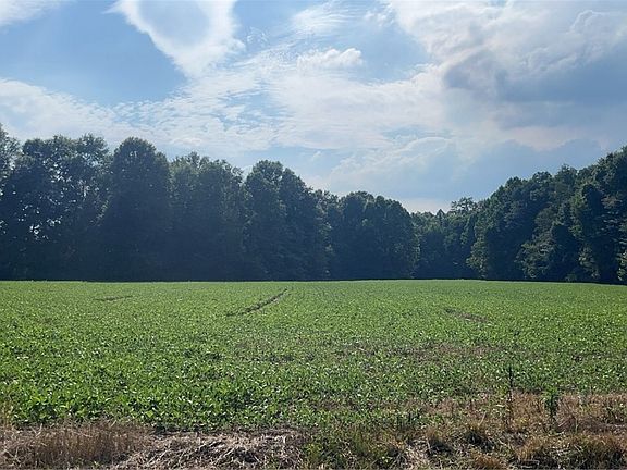 3rd image of Flagdale