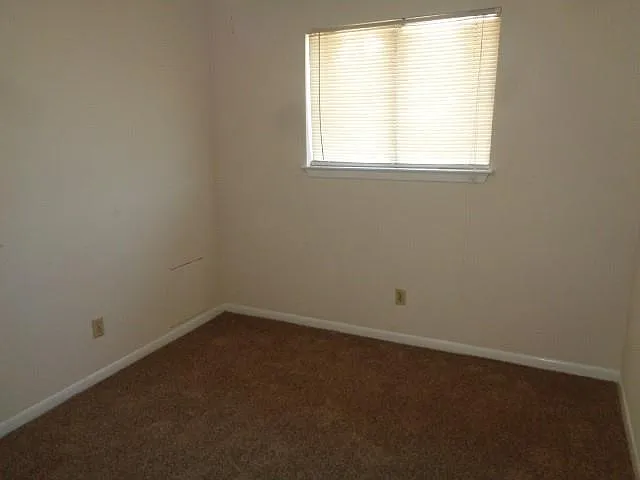 4358 Queens Retreat Dr — Photo 16