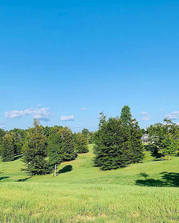 Beautiful Lots for Sale 