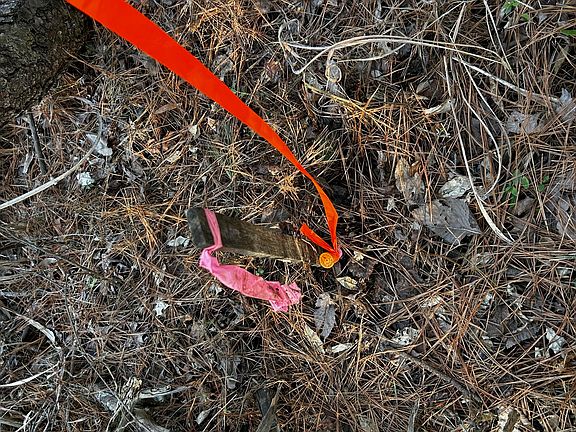 4th image of TRACT Two E 7 Charles Rd