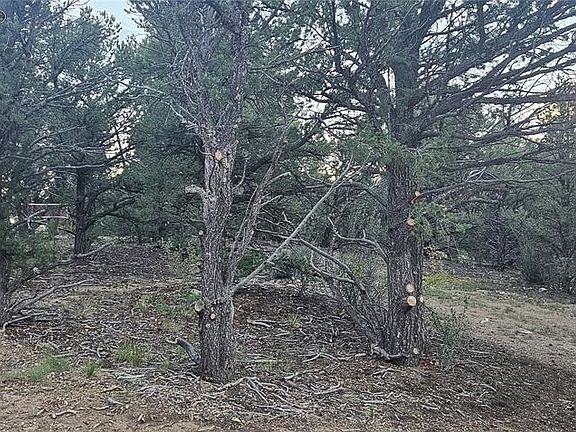 5th image of 145 Bonanza Rd