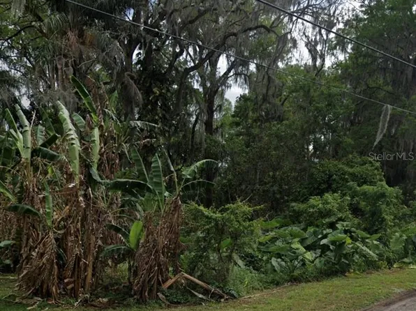 Lake Jem Rd, Mount Dora, FL 32757