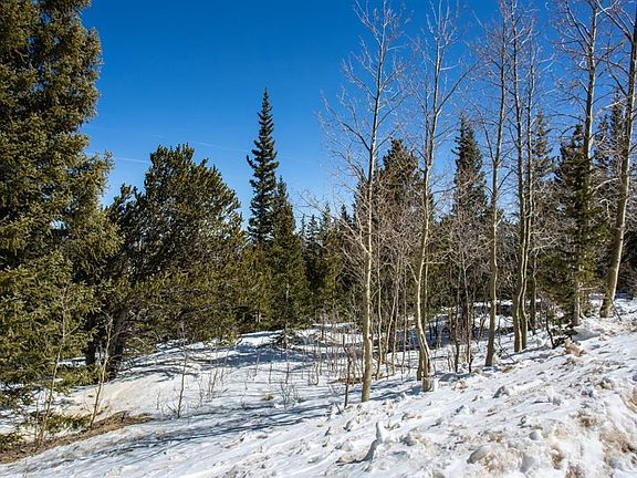 4th image of 462 Silverheels Pl