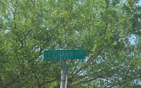 5th image of 4226 Leighann Lane Dr