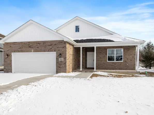 203 Hickory St, Peotone, IL 60468