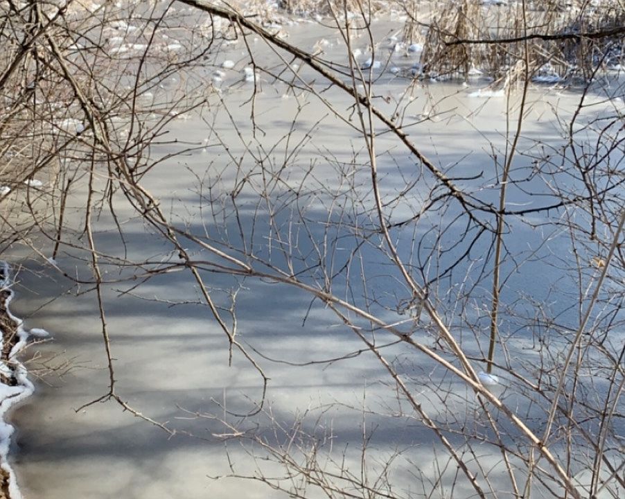 Nice sized pond