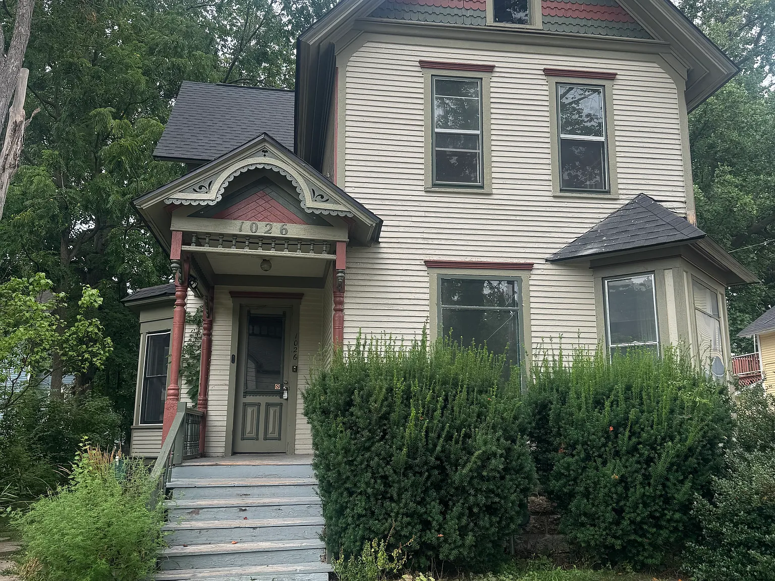 1 bed, $900 — Photo 2