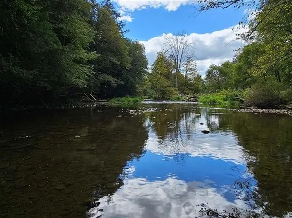 0 Lafayette Rd, Groton, NY 13073