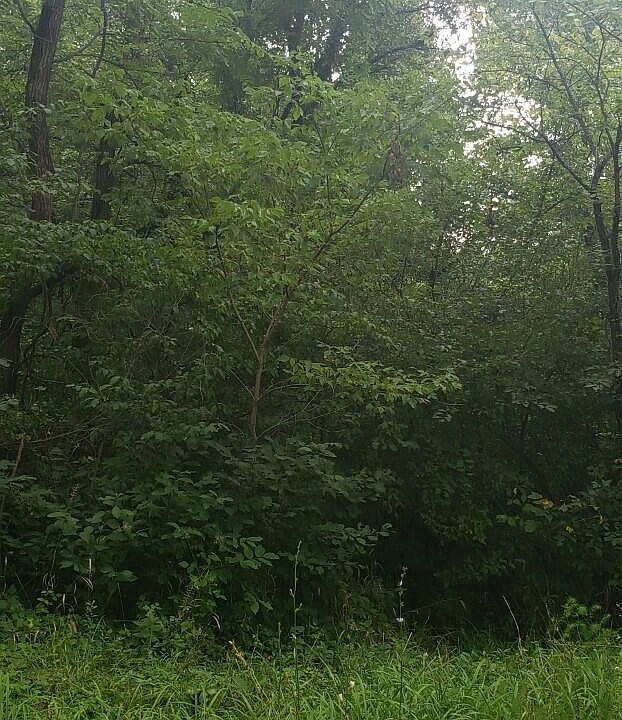2nd image of 545 Downing Rd