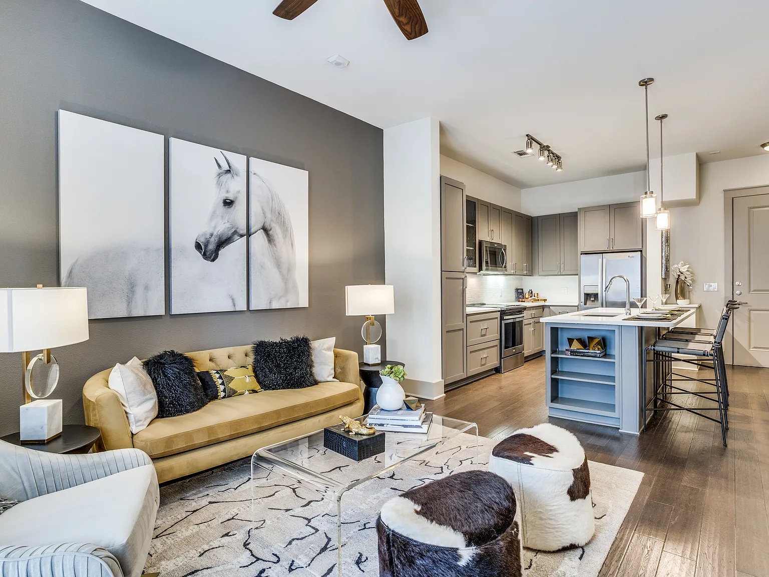 Ash at the Branch — Photo 4