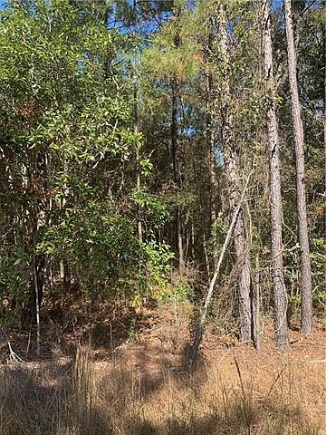 2nd image of 27455 Marti Dr