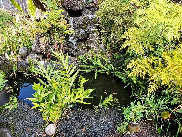 28 Leihala Dr — Photo 11