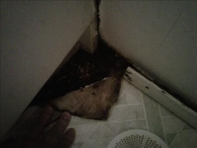 2nd image of 3135 NE 73rd St