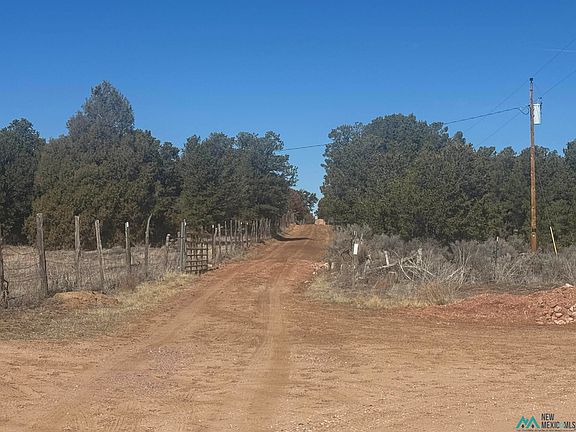 4th image of 51 Panther Rd