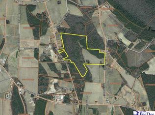 366 Todds School Rd, Mullins, SC 29574