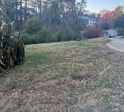 4th image of 269 Bear Creek Rd #1