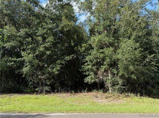 3919 E Orchid St, Hernando, FL 34442