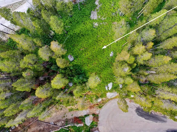 22028 Lotta Crabtree Ter, Soda Springs, CA 95728