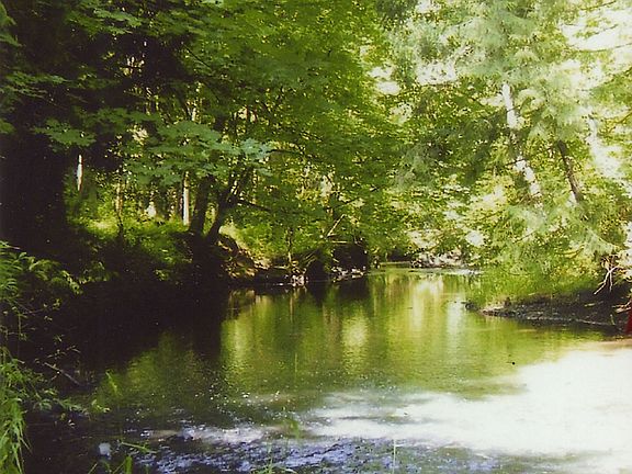 Johnson Creek Front