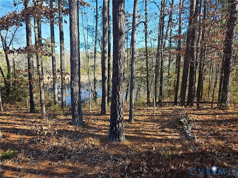 1585 Ullainee Rd — Photo 10