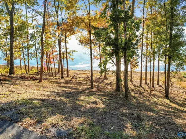 572 Reserve Dr, Guntersville, AL 35976