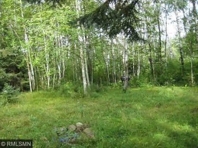 Friesland Rd, Hinckley, MN, 55037
