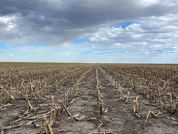 3rd image of 6 South Rd