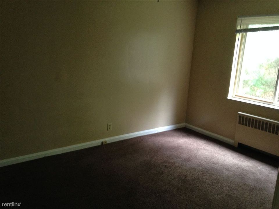 photo 1 (2)