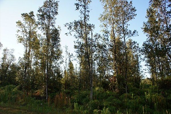 2nd image of Alii Rd Lot 1148