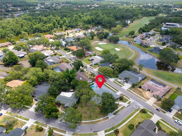 430 Hickorynut Ave, Oldsmar, FL 34677