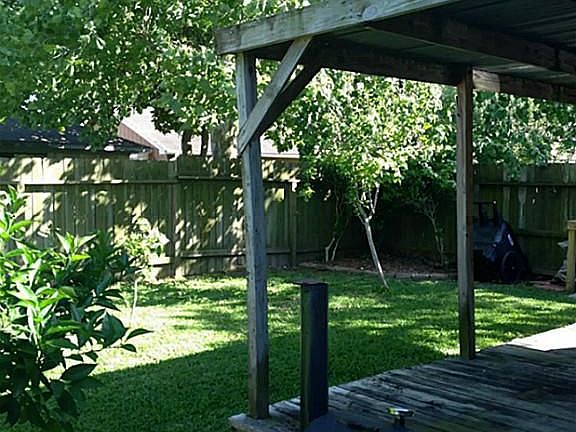 ANOTHER  VIEW OF YOUR BACKYARD