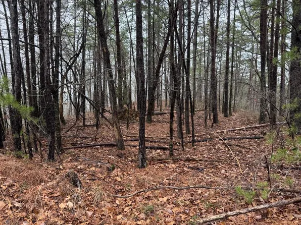 182 Stirratt Rd #182, Ranger, GA 30734