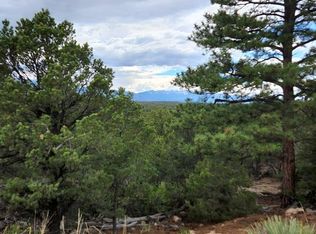 1532 Owens Ln #135, Cotopaxi, CO 81223