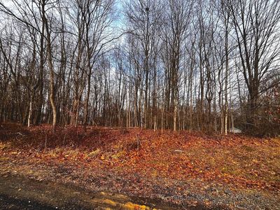 711 Crestrose Cir, Howard, OH, 43028