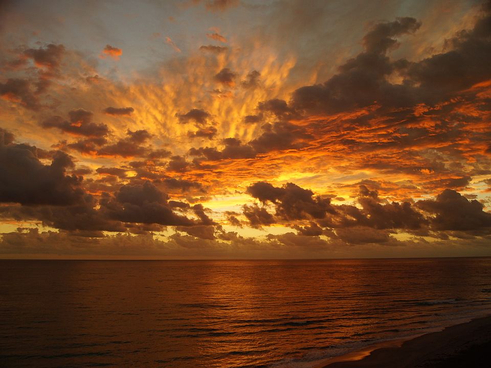 1st image of 8880 S Ocean Dr APT 1008