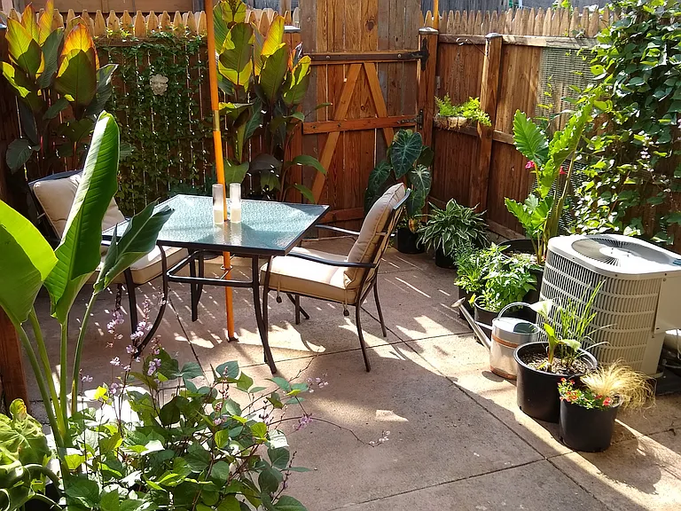 Rear Patio (plants and furniture not included)