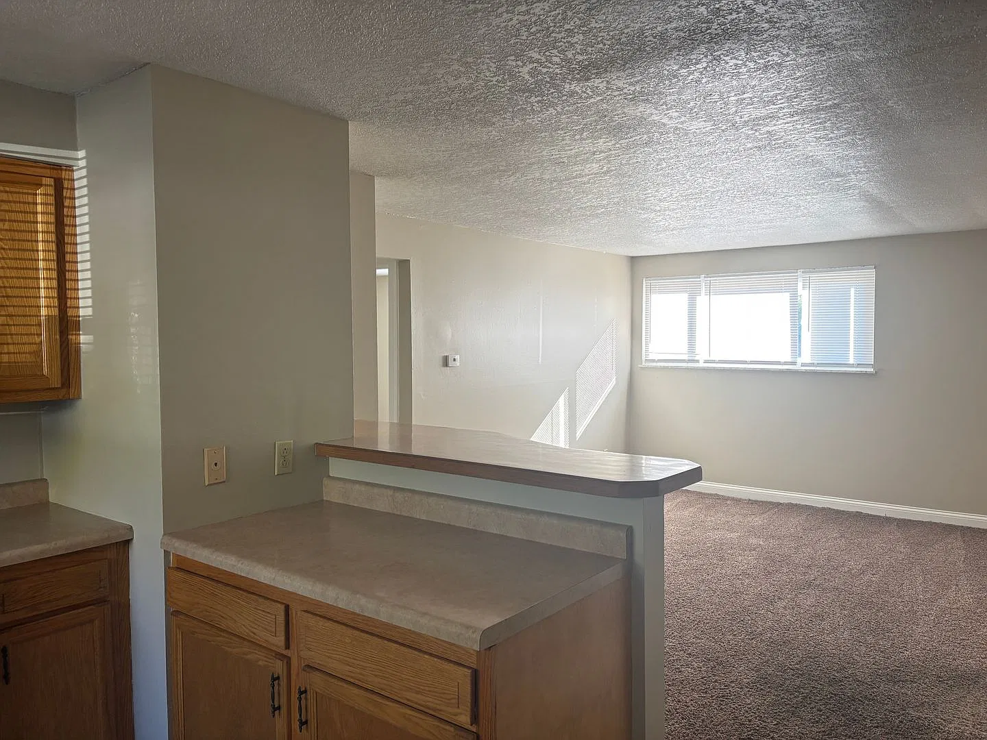 4823 Northcrest — Photo 3
