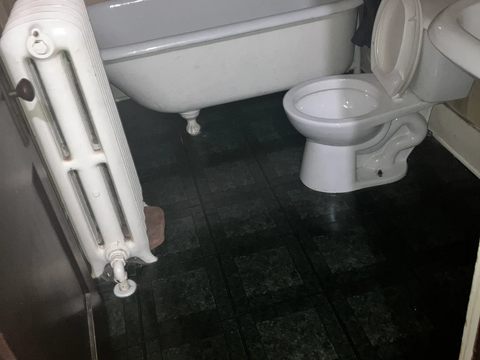 1 bed, $700 — Photo 4