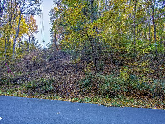 4th image of 11 Long Hollow Rd Lot 11