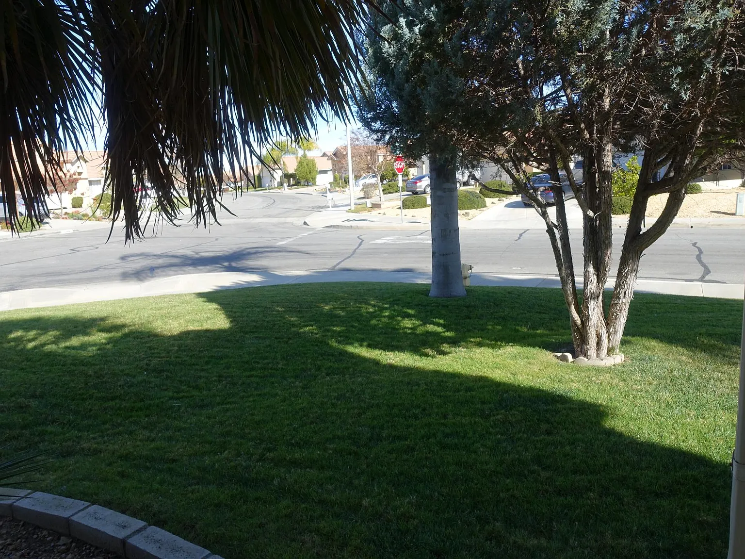 2 bed, 1002 sqft, $2,200 — Photo 2